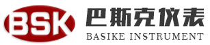 南京巴斯克仪表有限公司
